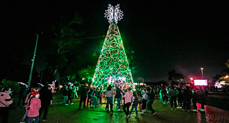Grupo de personas visitando el alumbrado navideño en la noche.