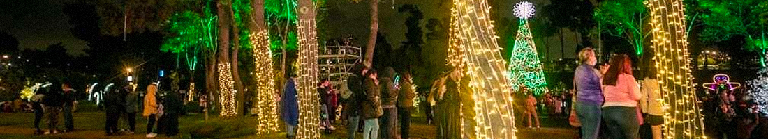 Ciudadanía disfrutando una noche navideña en Bogotá