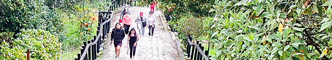 Foto de caminantes subiendo el sendero de Monserrate