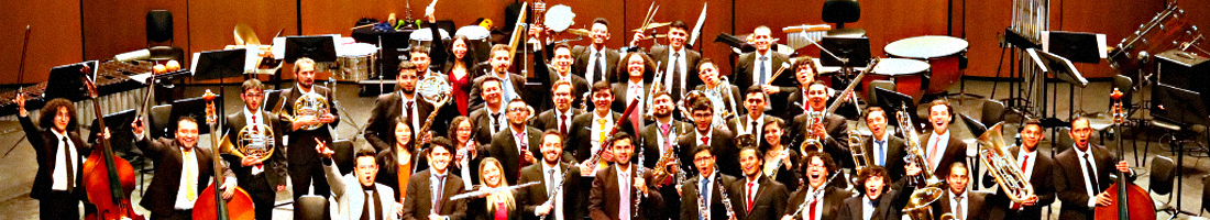Fotografía panorámica de la Orquesta Filarmónica de Bogotá Juvenil