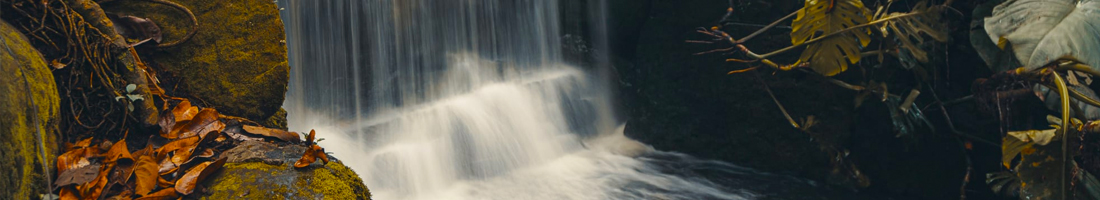 Fotografía de parte de una cascada dentro del Jardín Botánico de Bogotá