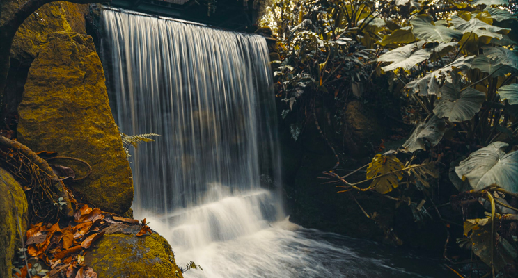 Fotografía de parte de una cascada dentro del Jardín Botánico de Bogotá