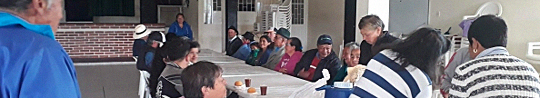 Foto panorámica donde se aprecias personas de la tercera edad en una dinámica en la biblioteca.