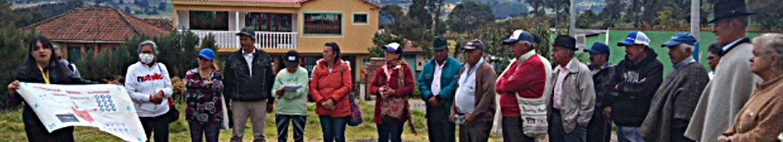 En la fotografía se puede apreciar una comunidad campesina reunida, donde vemos adultos mayores y adultos participando en la jornada