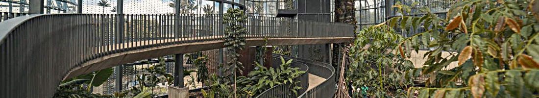 Fotografía del interior del Jardín Botánico de Bogotá