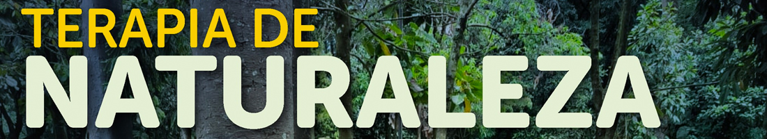 Foto de fondo con ramas y troncos como un bosque y el texto "Terapia de naturaleza"