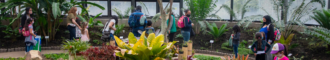 Foto de una parte interior del Jardín Botánico de Bogotá donde se encuentra un grupo de adultos, niñas y niños.