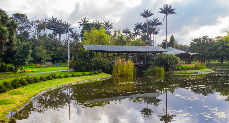 Foto del Jardín Botánico de Bogotá