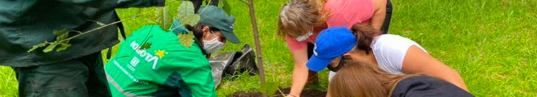 Fotografía de tres señoras plantando un arbol