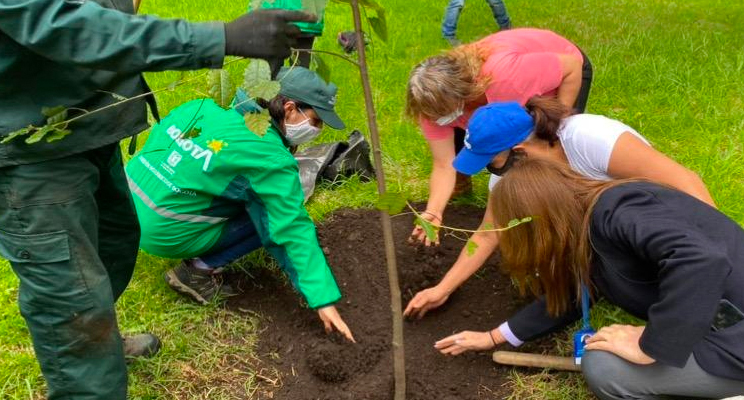 Fotografía de tres señoras plantando un arbol