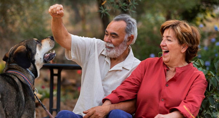 Pareja de abuelos felices jugando con su perro.
