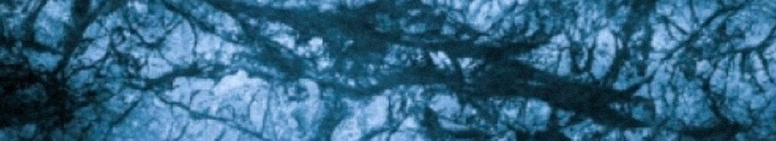 Textura del universo