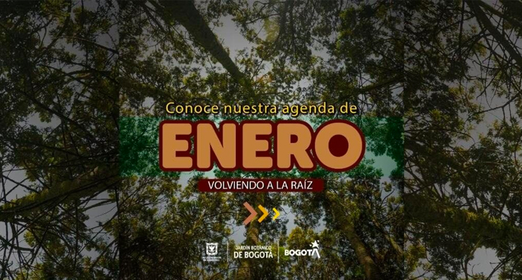 Pieza con fondo natural que dice "Conoce nuestra agenda de enero - Volviendo a la raíz"