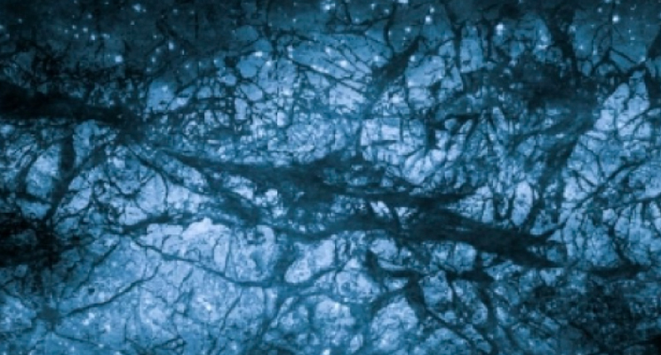 Textura del universo