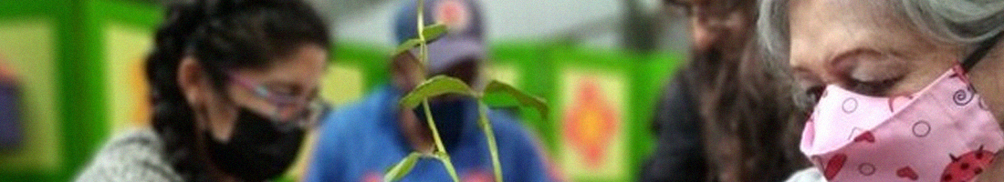 Adultas mayores trabajando en el espacio de taller con plantas