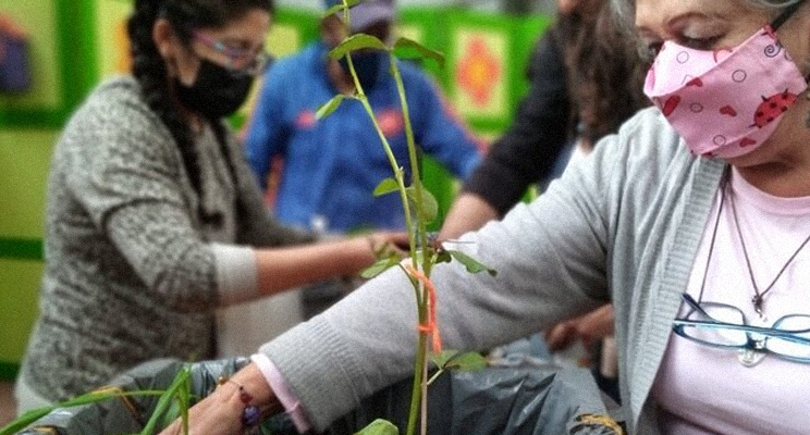 Adulta mayor sobre una planta y tierra