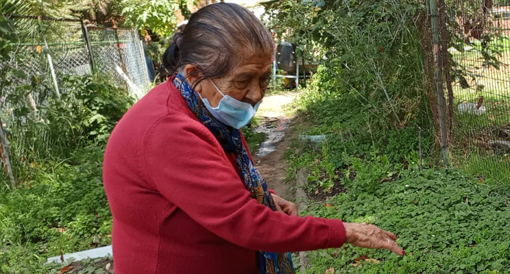 Adulta mayor en una huerta