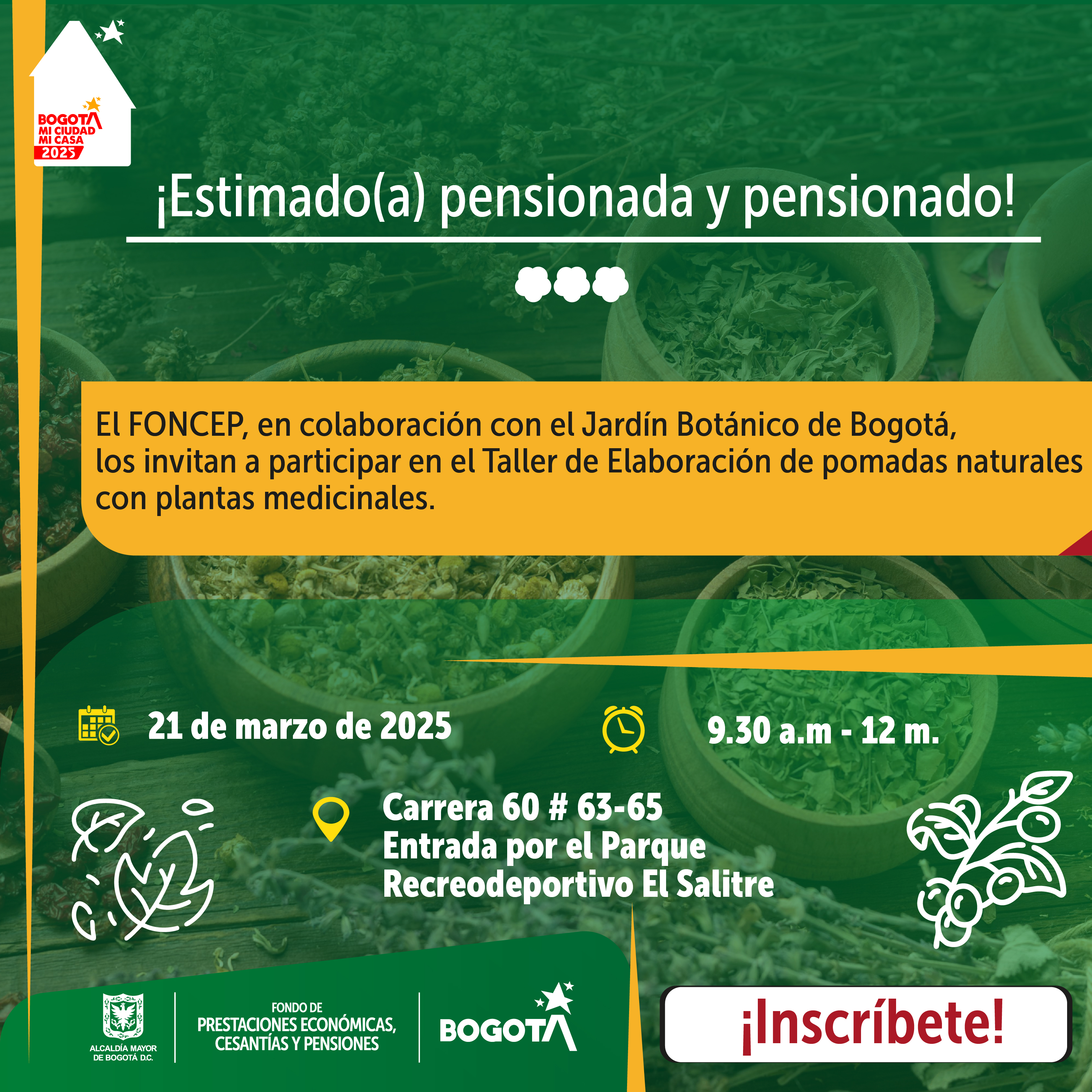 Taller de Elaboración de pomadas naturales con plantas medicinales