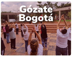 Gózate Bogotá