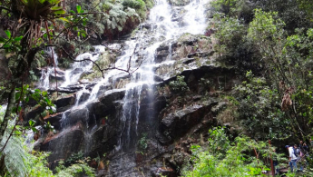 Fotografía de la cascada de la quebrada Las Delicias en los cerros orientales de Bogotá