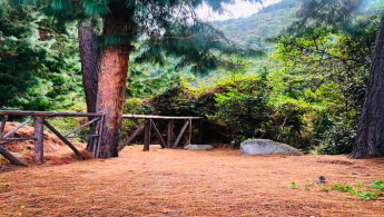 En la foto se retrata un paisaje de un bosque de los cerros orientales de Bogotá