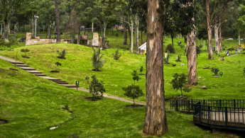 Fotografía panorámica de una zona del Parque Nacional Enrique Olaya Herrera