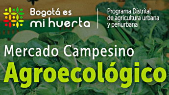 Bogotá es mi huerta - Programa Distrital de agricultura urbana y periurbana - Mercado Campesino Agroecológico - #BogotáEsMiHuerta - Foto de fondo de hortalizas.