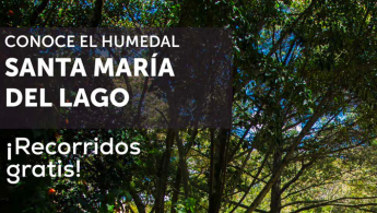 Conoce el humedal Santa María del Lago - ¡Recorridos gratis! - Foto de fondo de una parte del paisaje del humedal