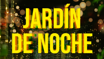 Parte de la pieza promocional del Jardín de noche con una foto de luces de fondo.