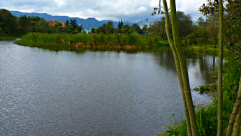 Fotografía panorámica del humedal Santa María del Lago