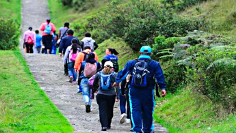 Fotografía de un grupo de personas caminando por un sendero natural