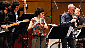 Fotografía donde se ve una parte de la orquesta en acción