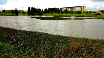 Fotografía panorámica del Humedal Capellanía en Bogotá