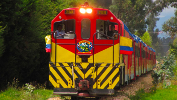 Foto frontal del tren de la sabana en recorrido