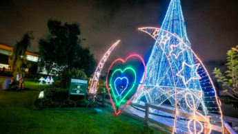 Foto de la iluminación navideña en el parque