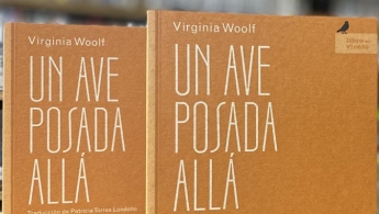 Foto de parte de la portada del libro Un ave posada allá a lo lejos de la escritora Virgina Wolf