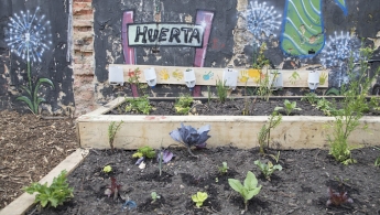 Foto de parte de una huerta urbana