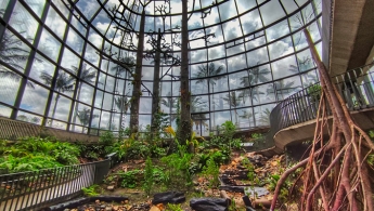 Naturaleza dentro del Jardín Botánico de Bogotá