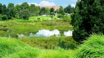 Foto panoramica del humedal El Salitre