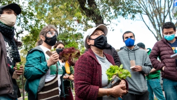 Personas en el Jardín Botánico apreciando la naturaleza