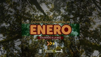 Pieza con fondo natural que dice "Conoce nuestra agenda de enero - Volviendo a la raíz"