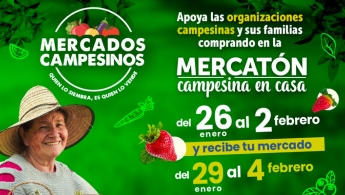 Parte de la pieza publicitaria de la campaña "Mercatón Campesina en Casa"