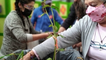 Adulta mayor sobre una planta y tierra