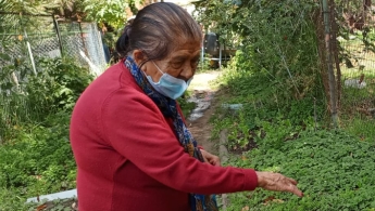 Adulta mayor en una huerta