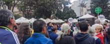 FONCEP